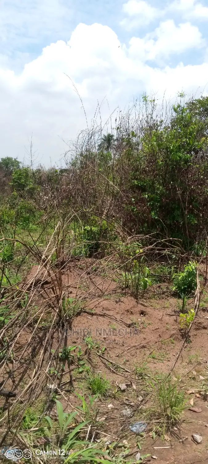 A Plot of Land in Owerri