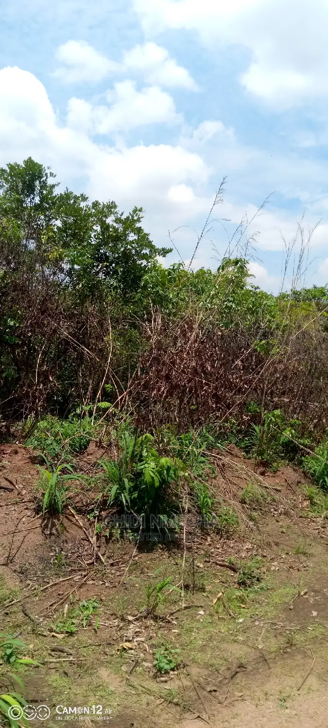 A Plot of Land in Owerri