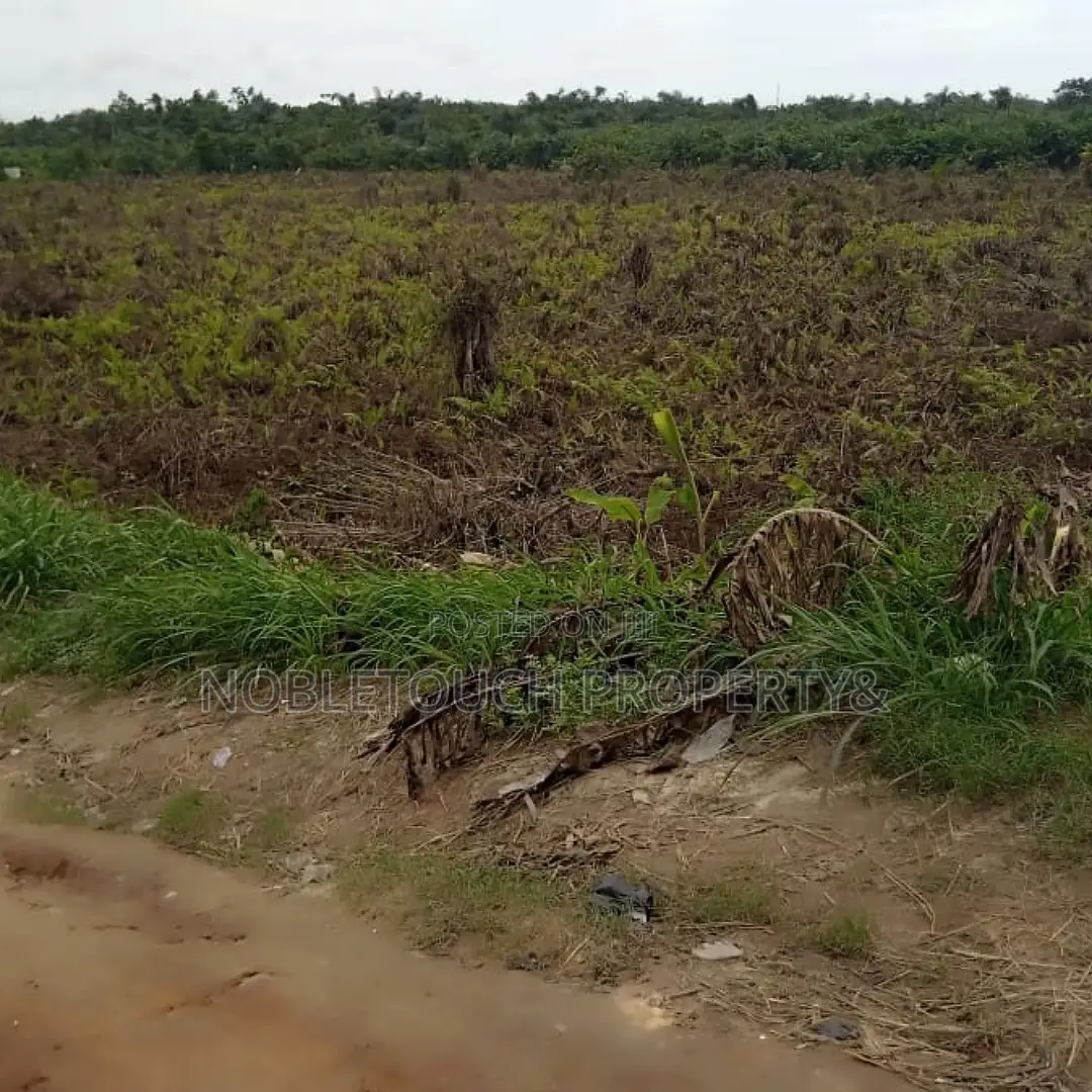 Acres and Plots of Land Along Ikotun Egbe for Sale in Egbe / Ikotun/Igando