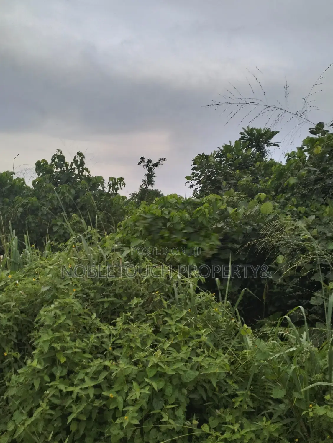 10acres of Land Along Lasu Igando for Sale in Akesan