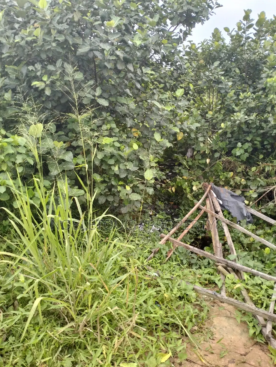 10acres of Land Along Lasu Igando for Sale in Akesan