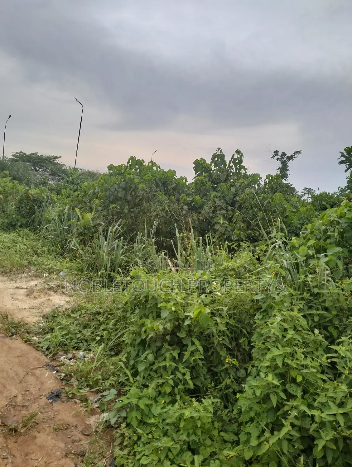 10acres of Land Along Lasu Igando for Sale in Akesan