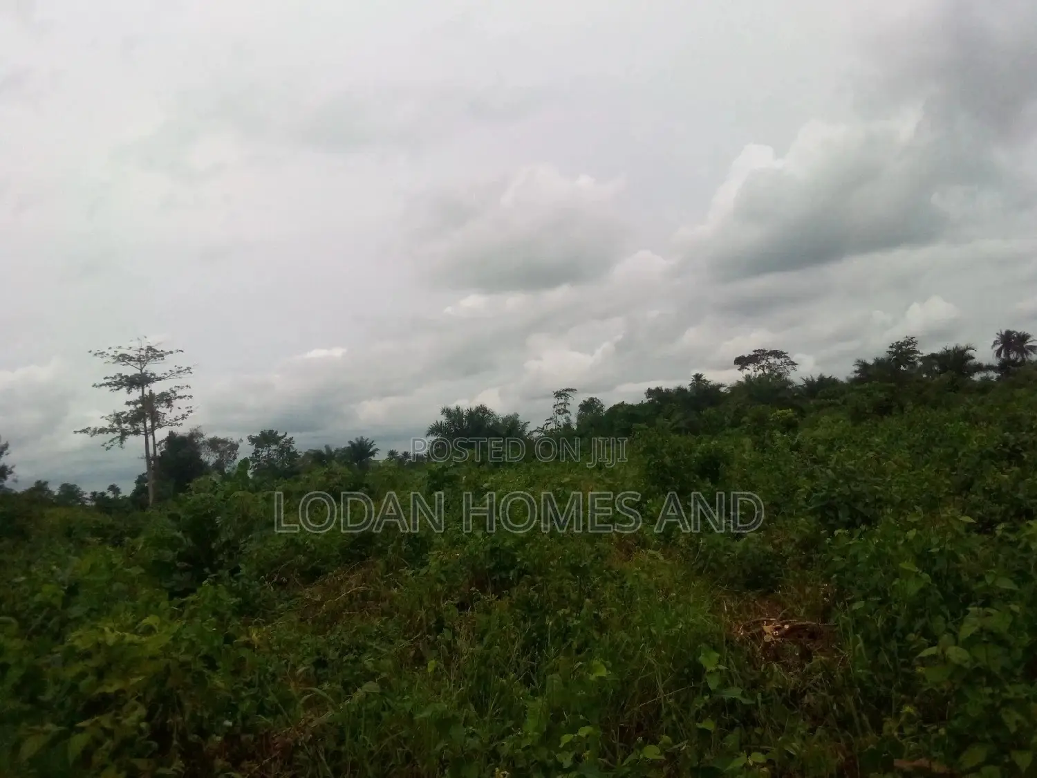 Plots And Acres Of Land For Sale In Atan,Ogun State. in Ado-Odo/Ota
