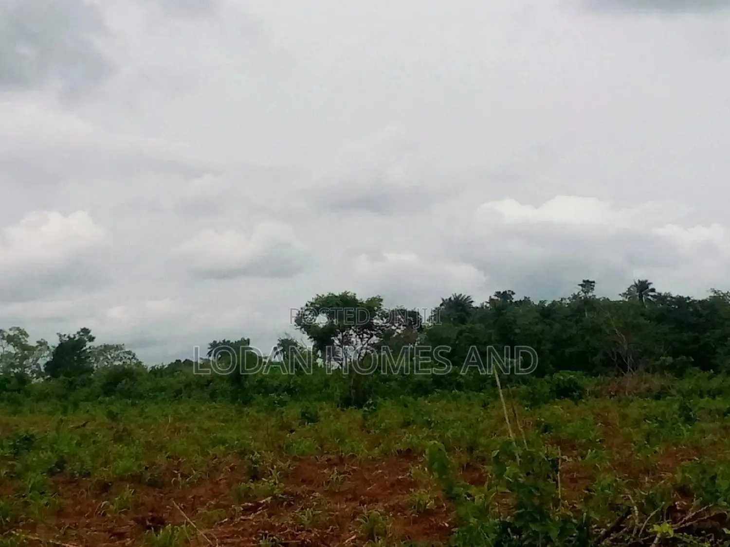 Plots And Acres Of Land For Sale In Atan,Ogun State. in Ado-Odo/Ota