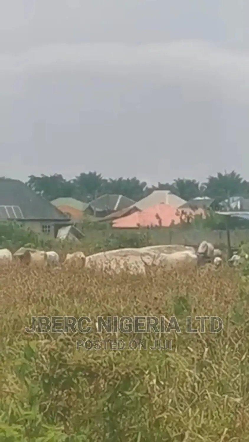 Plots of Land With Excision for Sale in Ajah in Lakowe