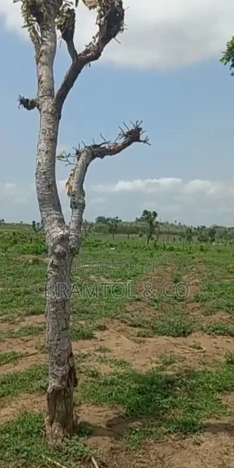 Quick Sale: Flat 2200sqm Rofo Plot in Kyami in Kiami