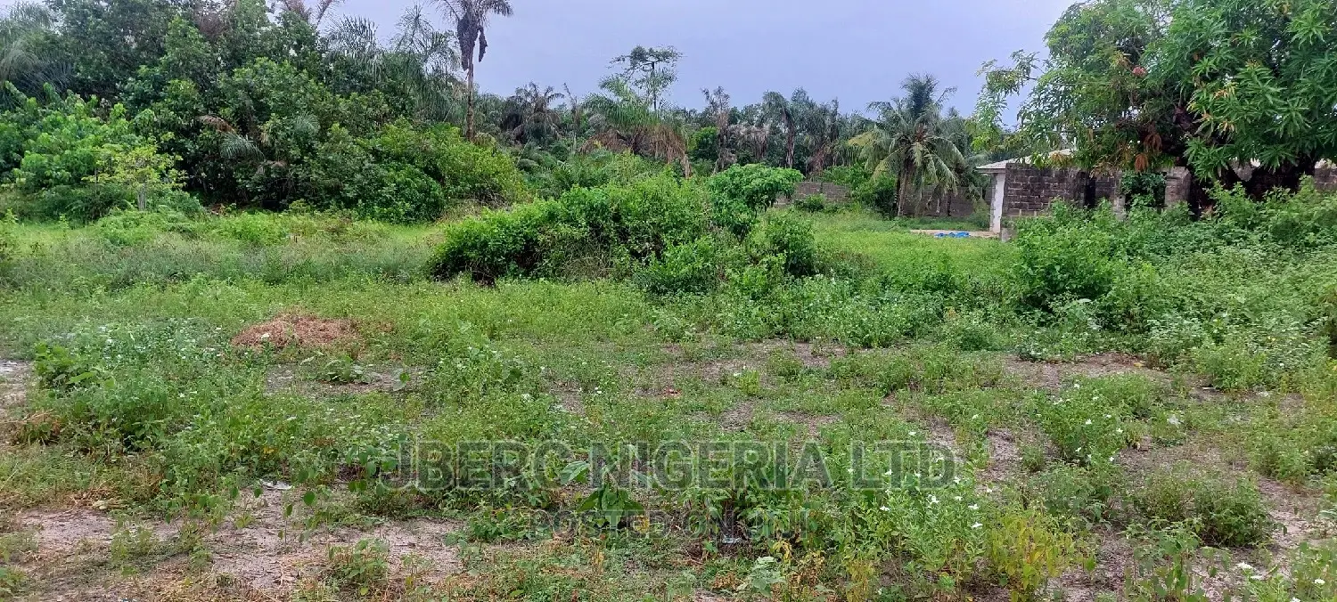 Land WTH Excision, Survey Document for Sale in Ajah in Off Lekki-Epe Expressway