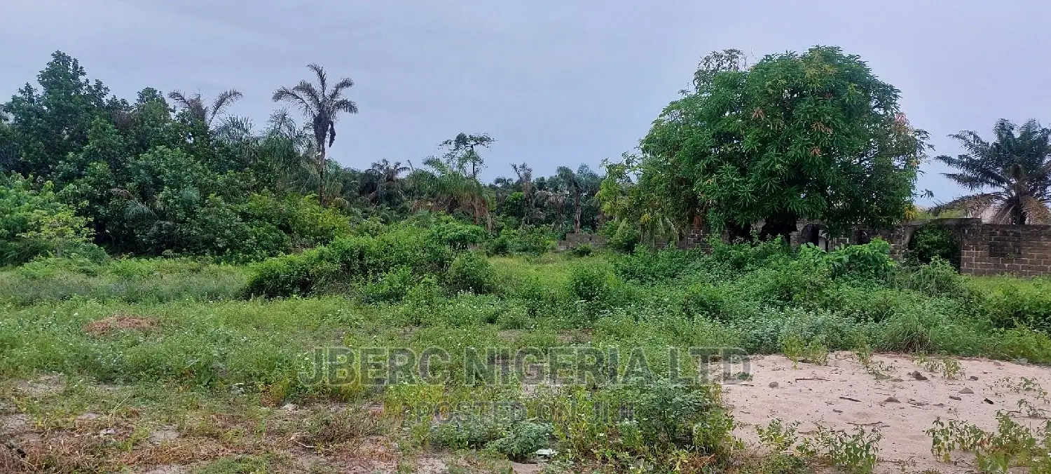 Land WTH Excision, Survey Document for Sale in Ajah in Off Lekki-Epe Expressway