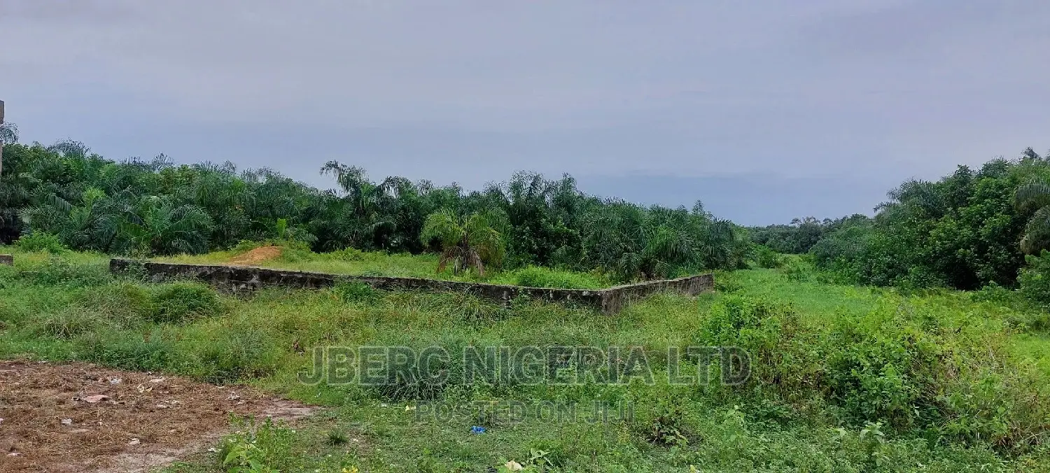 Land WTH Excision, Survey Document for Sale in Ajah in Off Lekki-Epe Expressway
