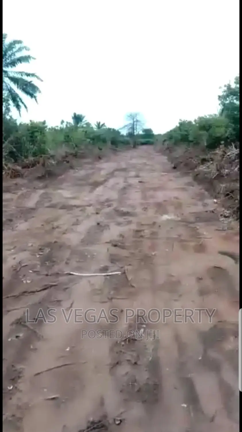 More Than 150plots of Land Well Percilated at Umukiri Okuku in Owerri