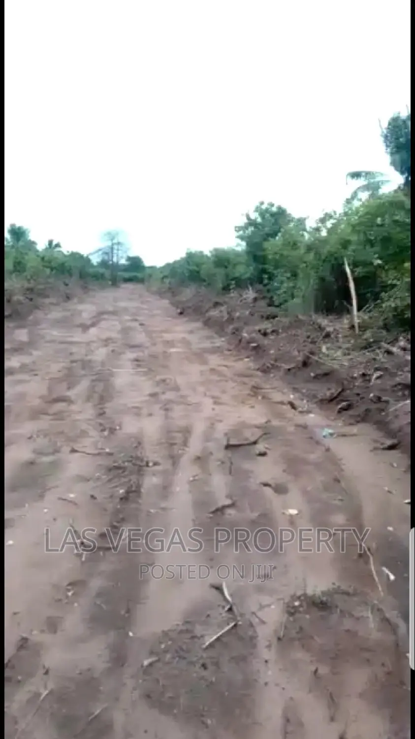 More Than 150plots of Land Well Percilated at Umukiri Okuku in Owerri
