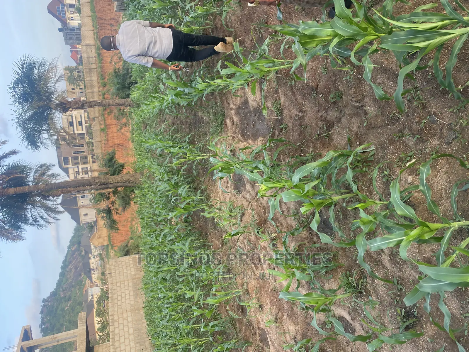 FCDA Plot of Land for Sale. in Dawaki