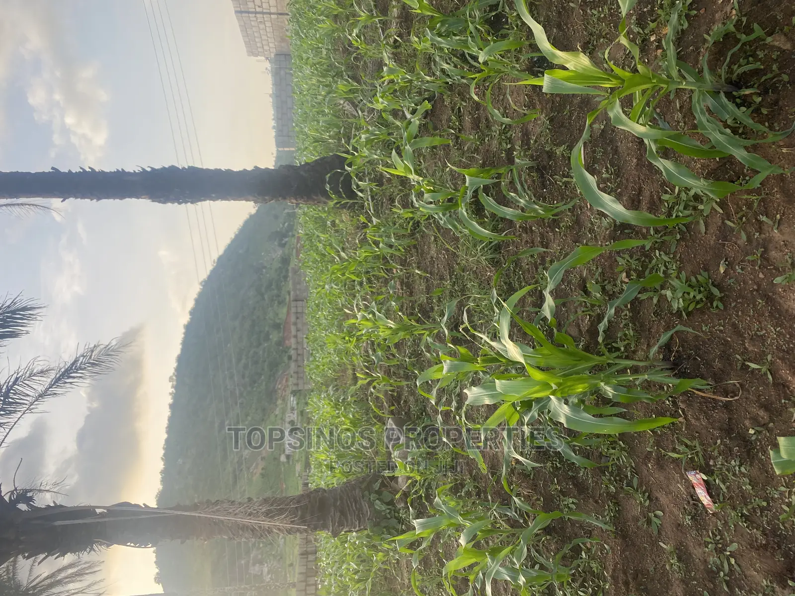FCDA Plot of Land for Sale. in Dawaki