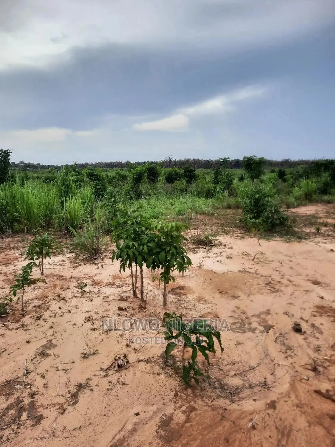 Land for Sale at Oke Oko Isawo Agric Ikorodu Lagos in Agric