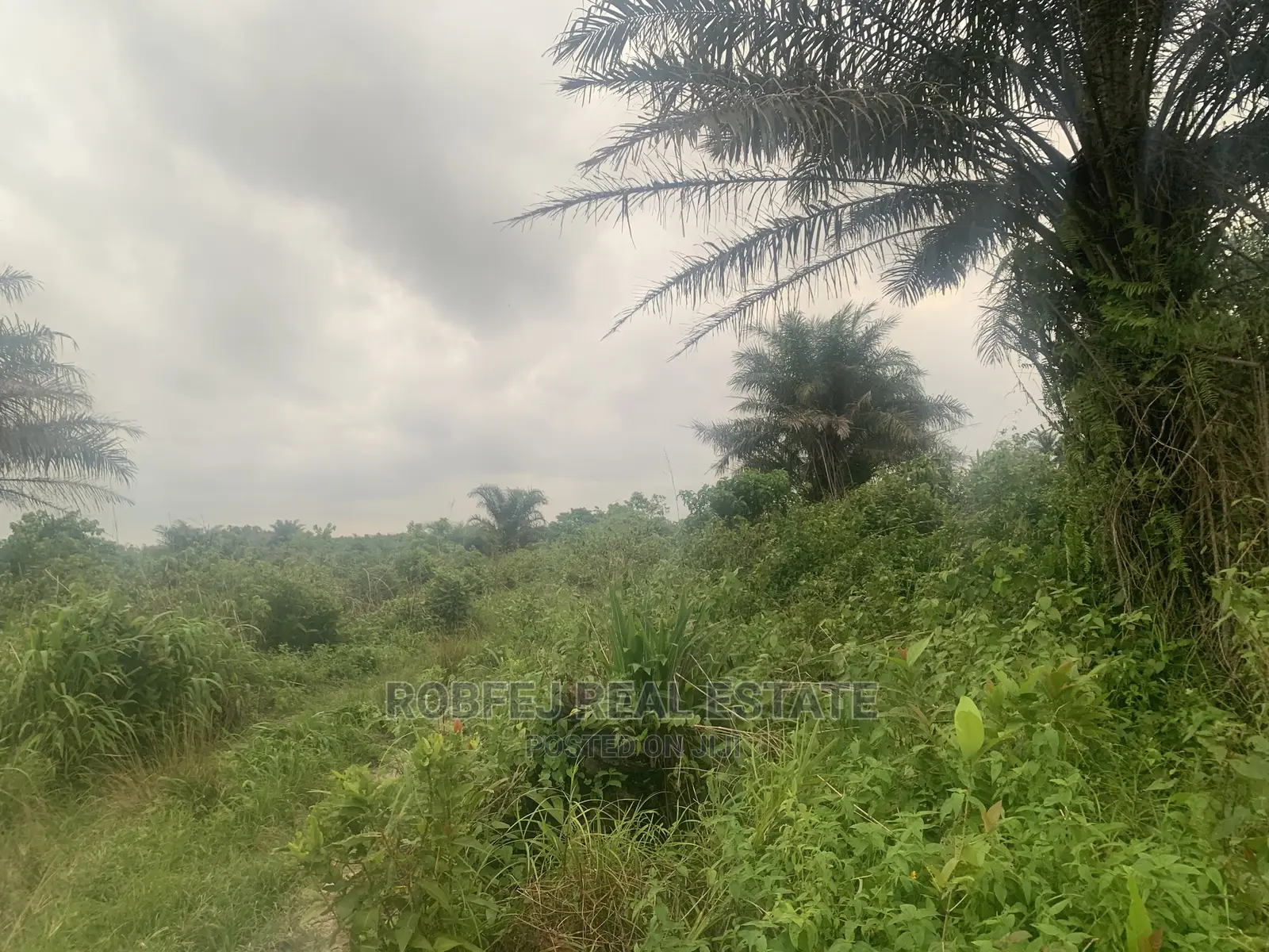 Unique Opportunity for Investors in Elerangbe