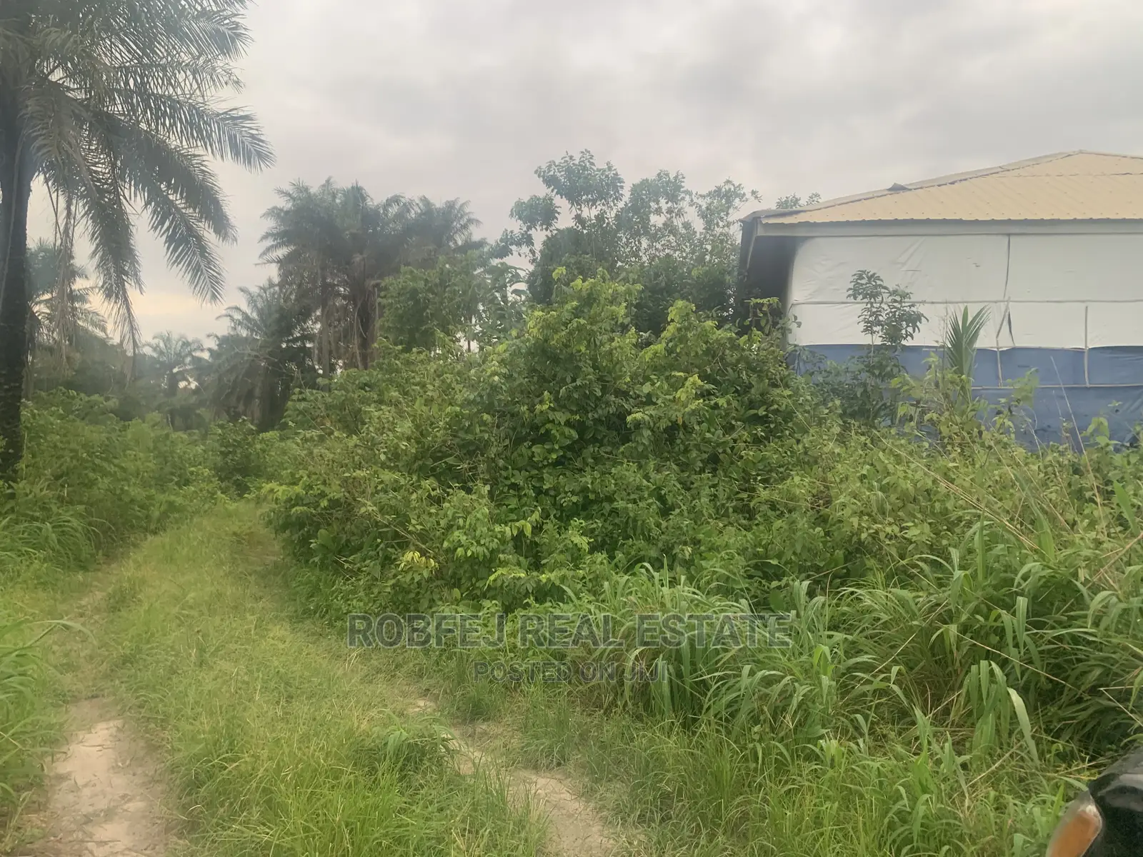 Unique Opportunity for Investors in Elerangbe