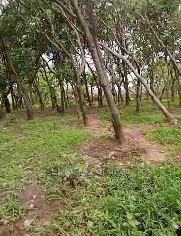 *Hot Sale Dakibiyu by Wuye Plot for Sale* 896sqm in Dakibiyu