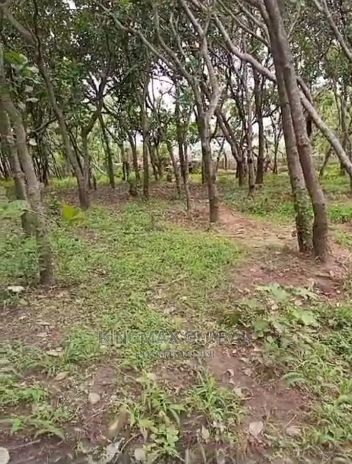 *Hot Sale Dakibiyu by Wuye Plot for Sale* 896sqm in Dakibiyu
