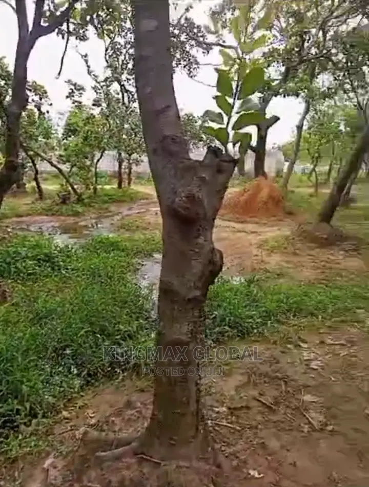 *Hot Sale Dakibiyu by Wuye Plot for Sale* 896sqm in Dakibiyu