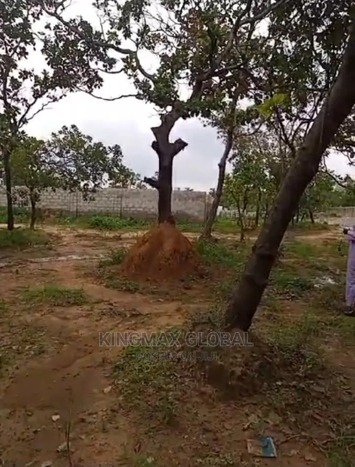*Hot Sale Dakibiyu by Wuye Plot for Sale* 896sqm in Dakibiyu