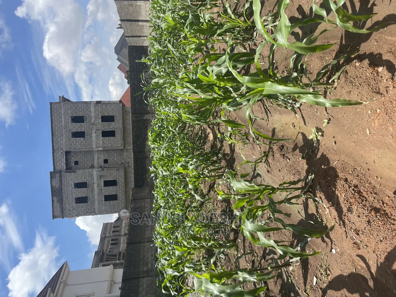 A Very Good and Fence With Gate Fcda Plot in Dawaki