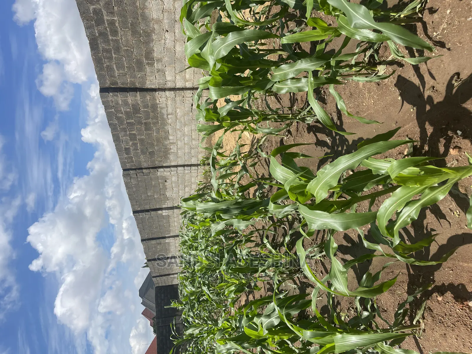 A Very Good and Fence With Gate Fcda Plot in Dawaki