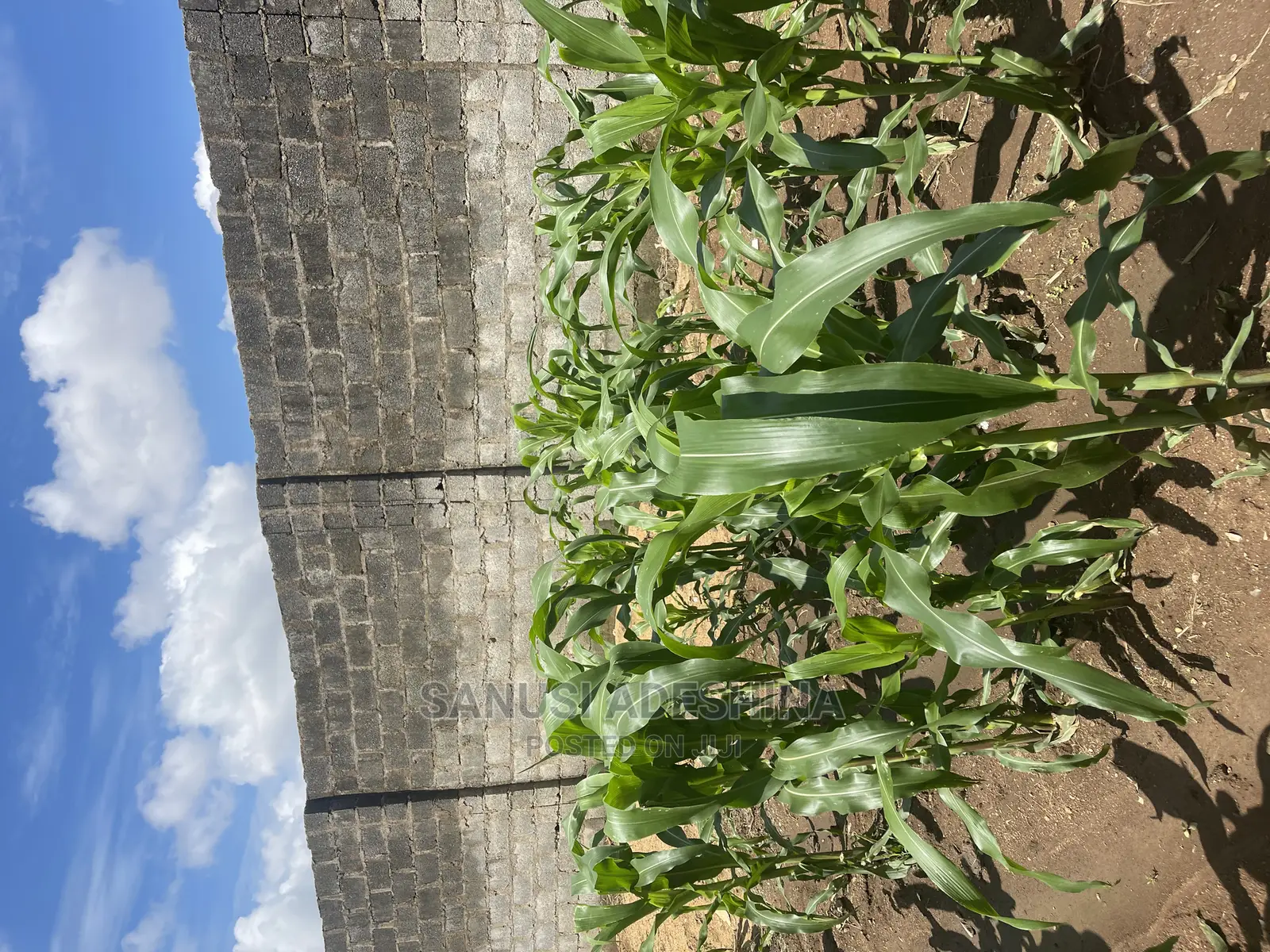 A Very Good and Fence With Gate Fcda Plot in Dawaki