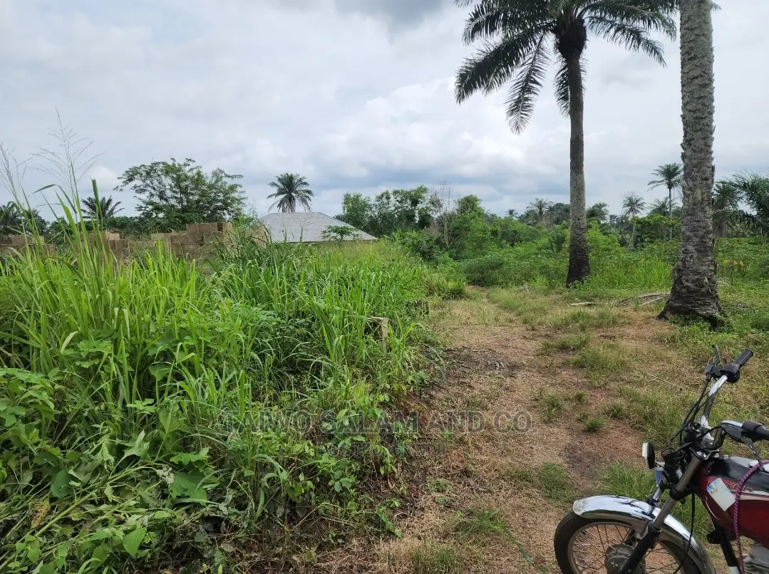 Layout Plot of Land at Ijaye Along Moniya Ibadan in Ibadan