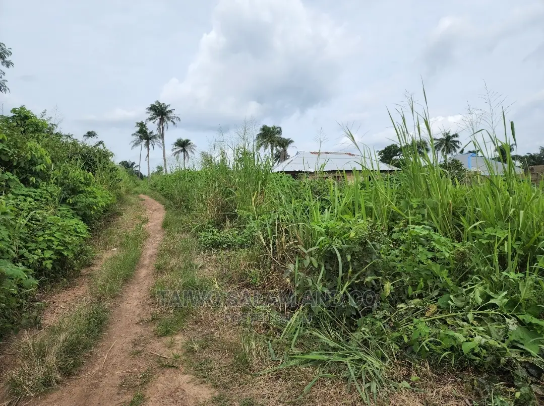 Layout Plot of Land at Ijaye Along Moniya Ibadan in Ibadan