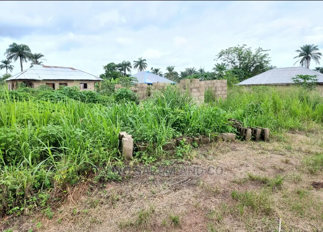 Layout Plot of Land at Ijaye Along Moniya Ibadan in Ibadan