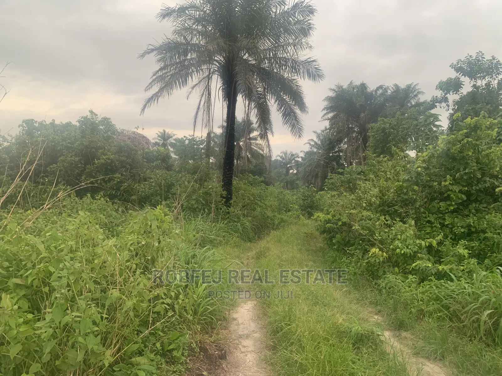 12 Plots of Land in a Dream Location Packed With Potentials in Sangotedo