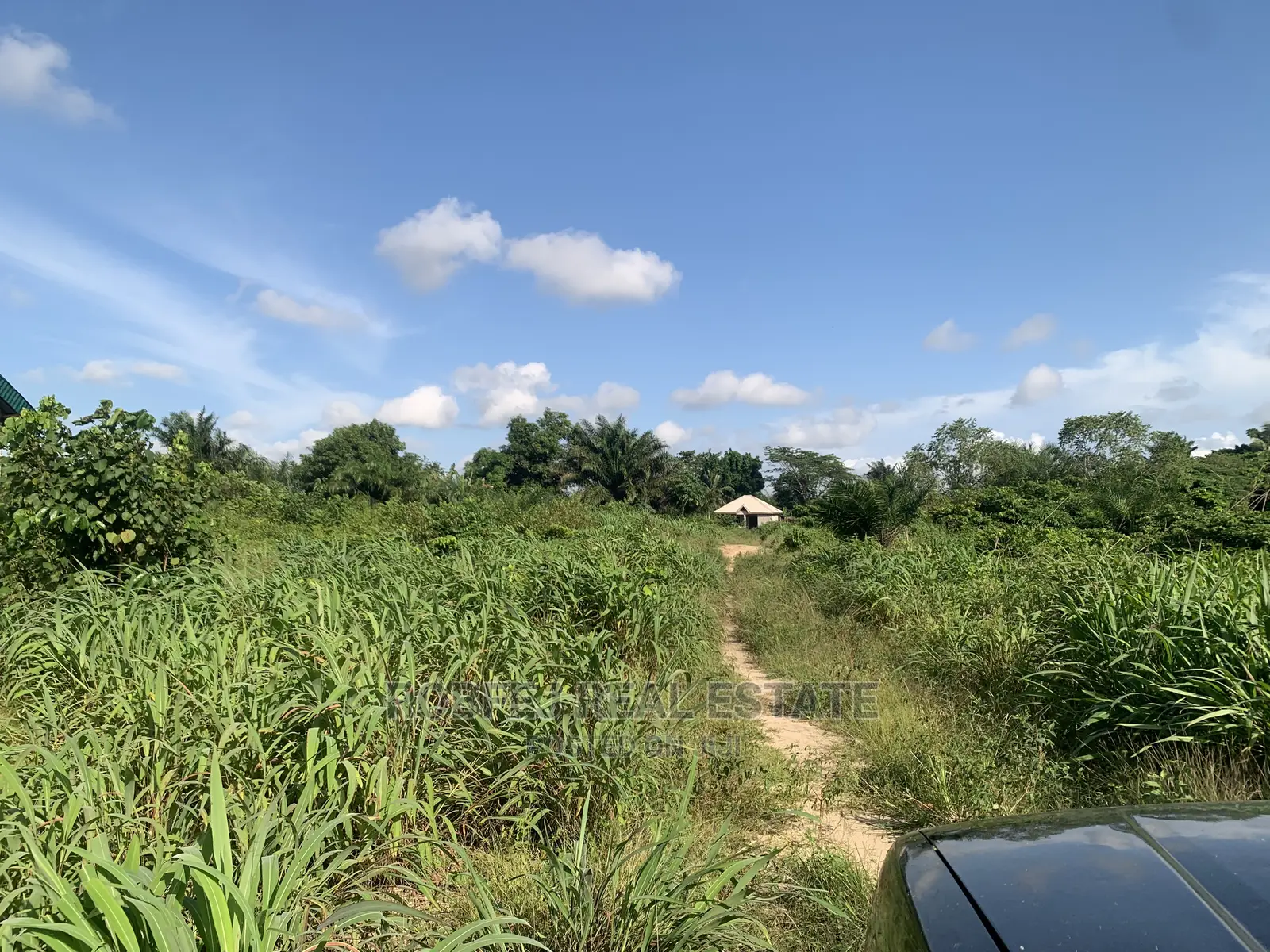 Survey Plan in Elerangbe