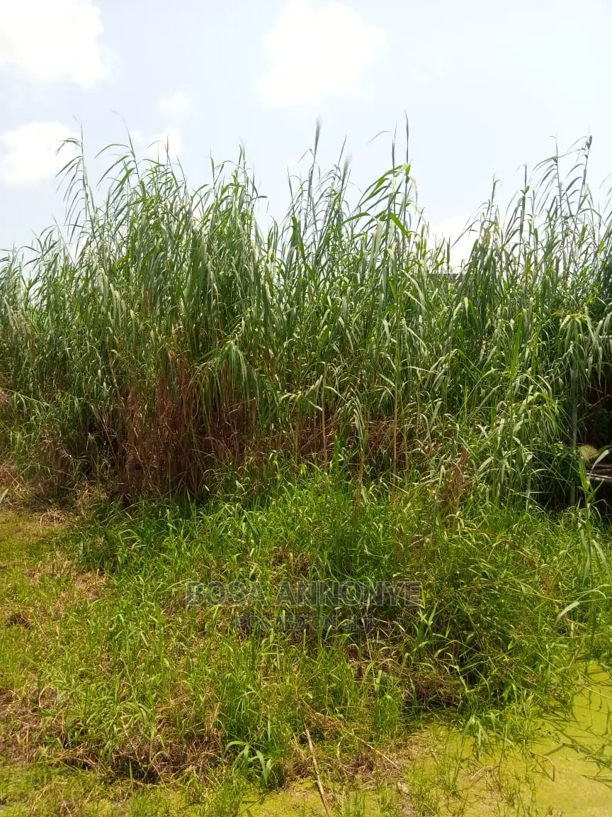 Half Plot of Land in Ado / Ajah
