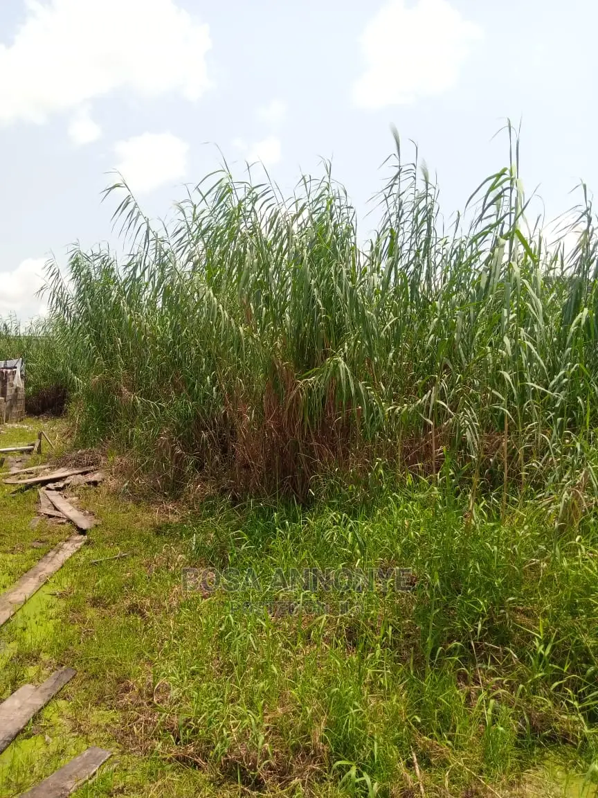 Half Plot of Land in Ado / Ajah