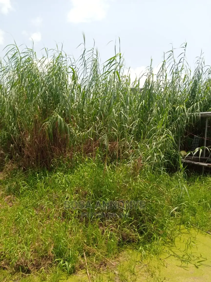 Half Plot of Land in Ado / Ajah