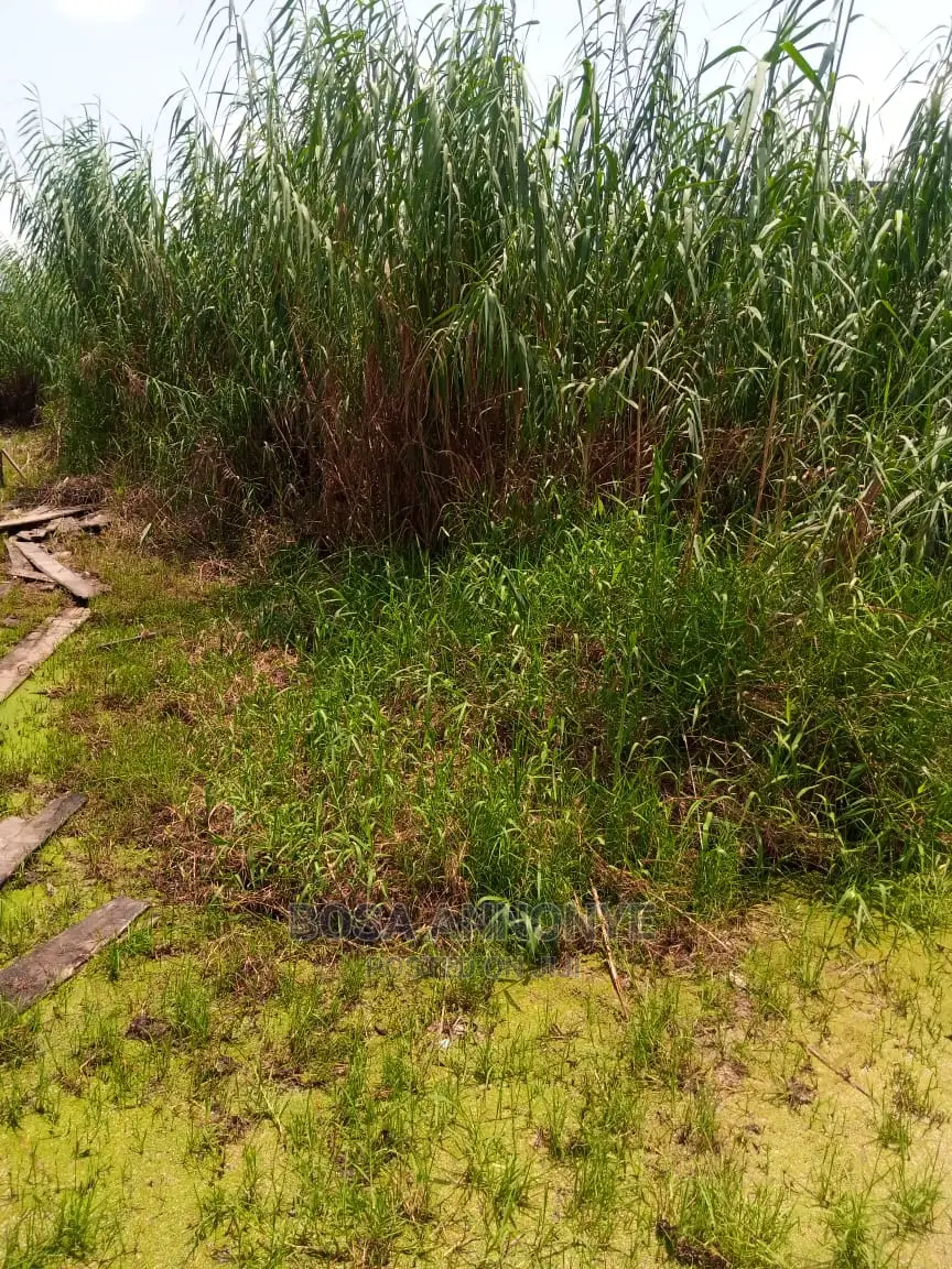 Half Plot of Land in Ado / Ajah