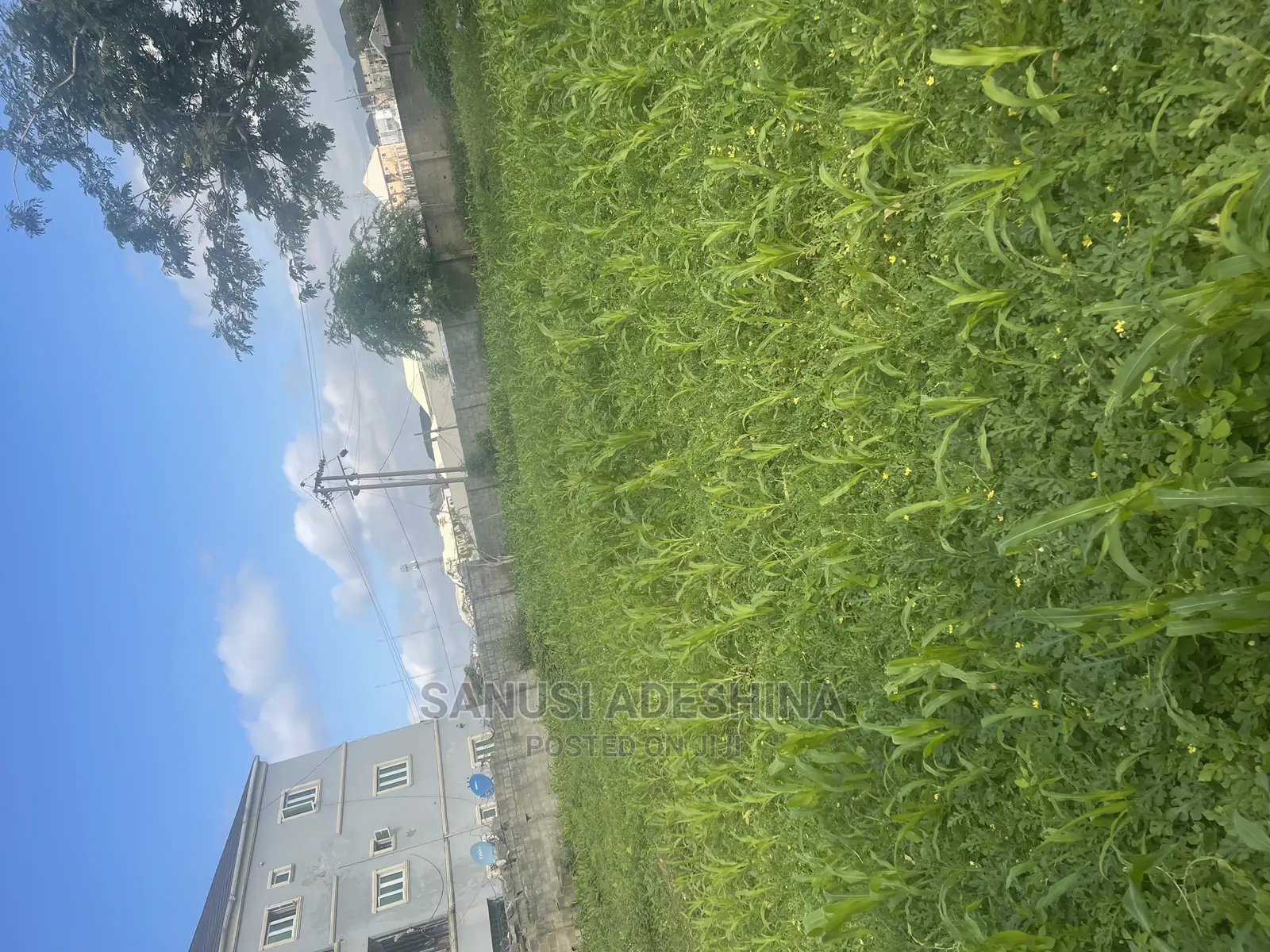 A Very Good Plot Directly on the Dutse Express at Abuja in Dutse-Alhaji