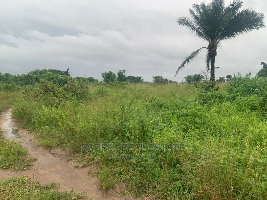 Your Dream Property Awaits You in Epe
