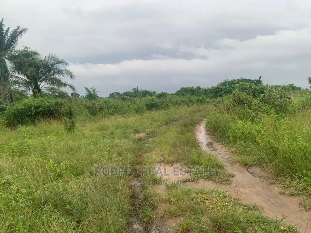 Your Dream Property Awaits You in Epe