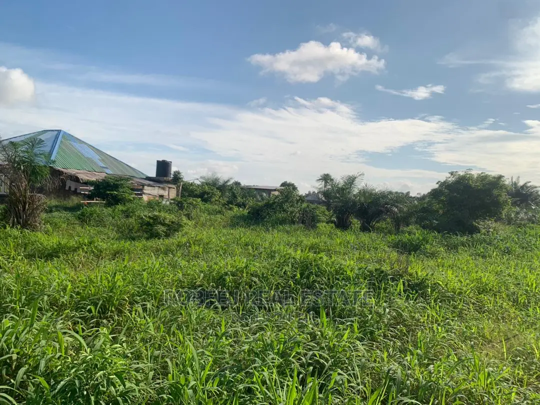 The Possibilities Are Endless 20 Plots of Land in Elerangbe