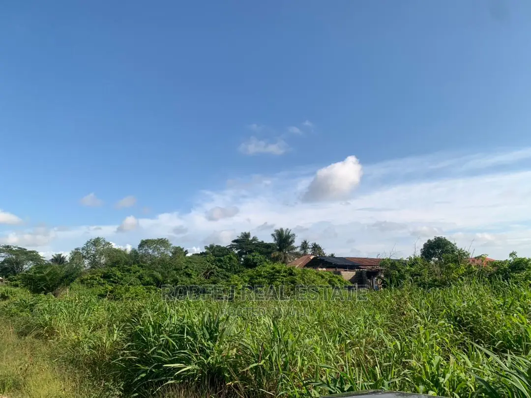 The Possibilities Are Endless 20 Plots of Land in Elerangbe