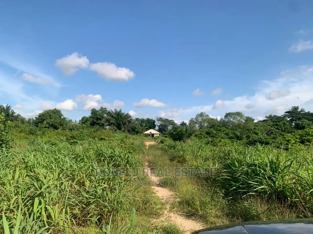 The Possibilities Are Endless 20 Plots of Land in Elerangbe