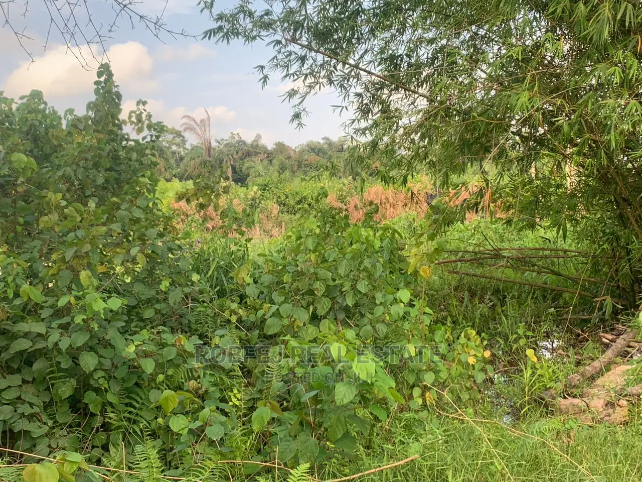 Discover Paradise at Arapagi Lagoon Front in Elerangbe
