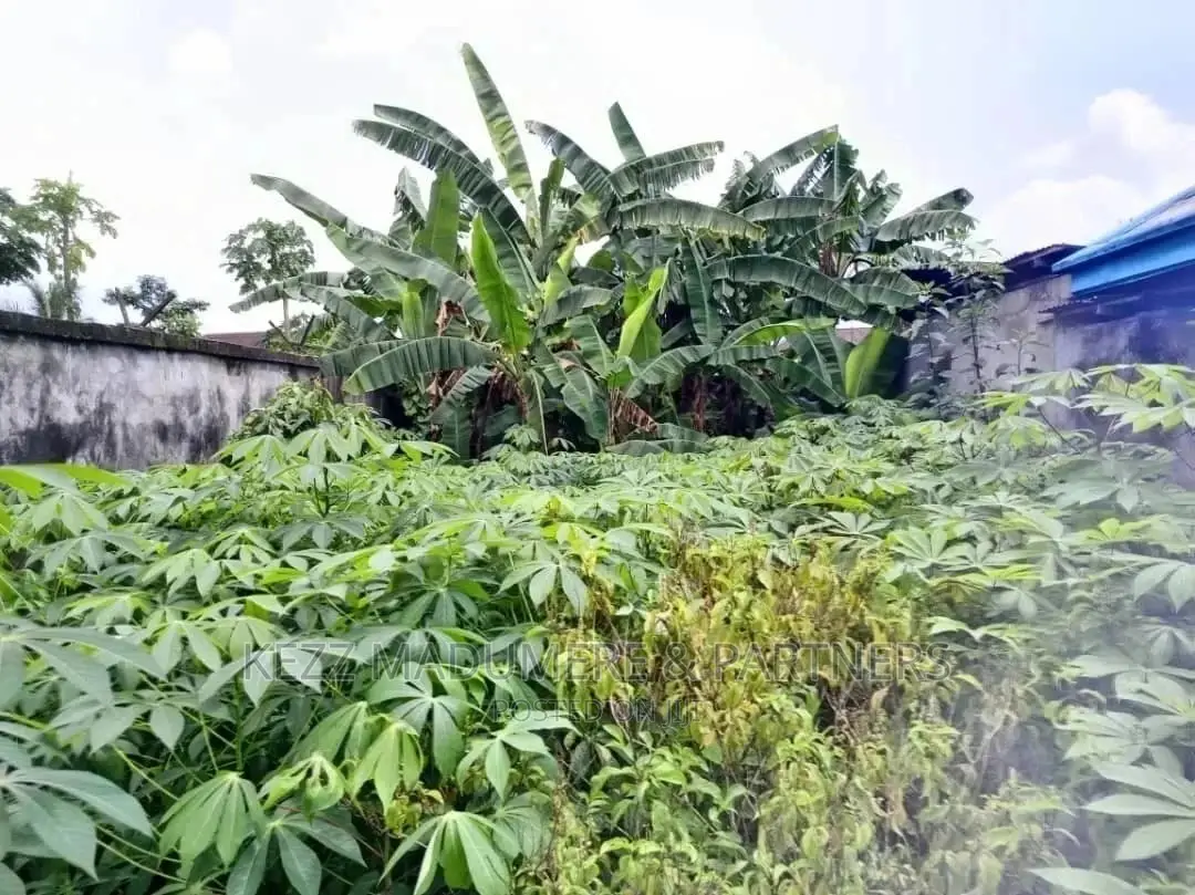 10bdrm Block of Flats in Oyibo, Oyigbo for sale in Oyigbo