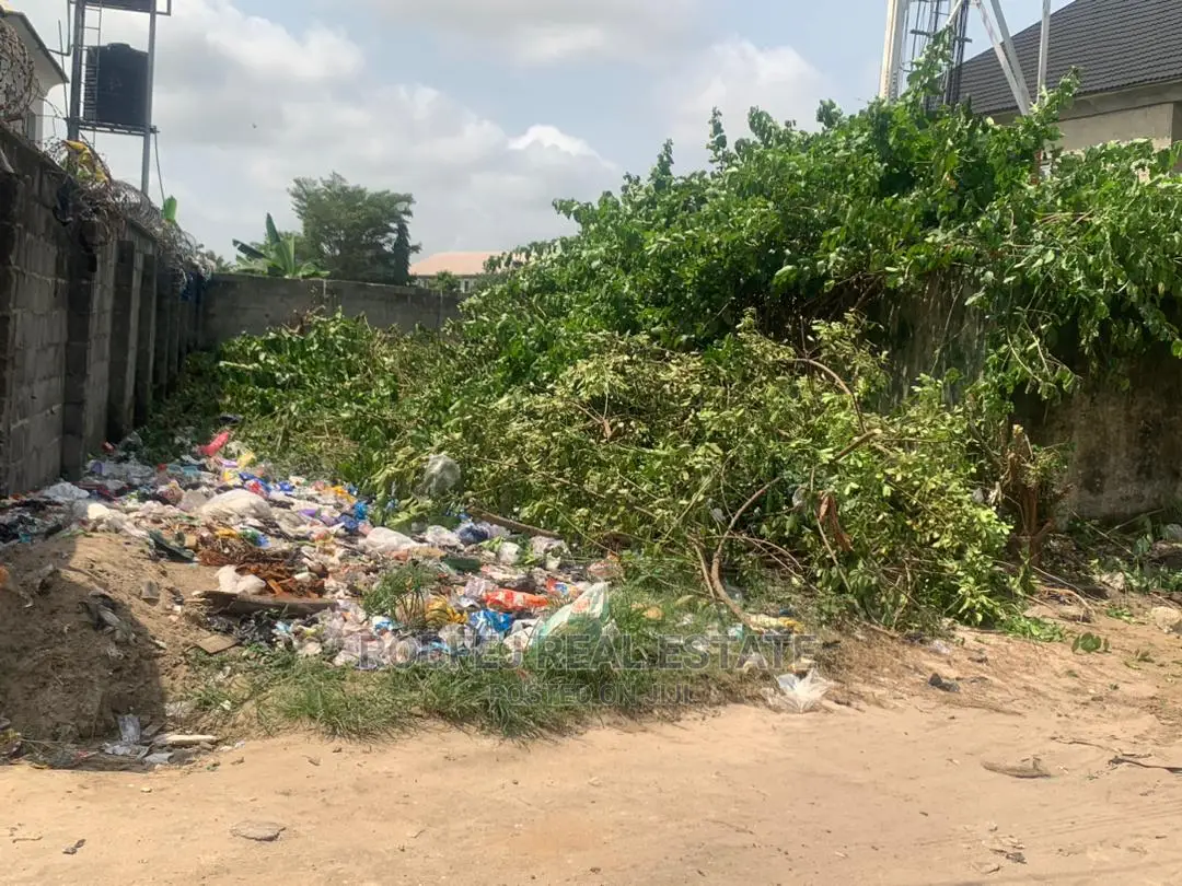 Prime Investment Plot in Awoyaya