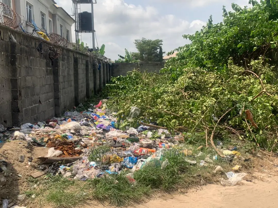 Prime Investment Plot in Awoyaya