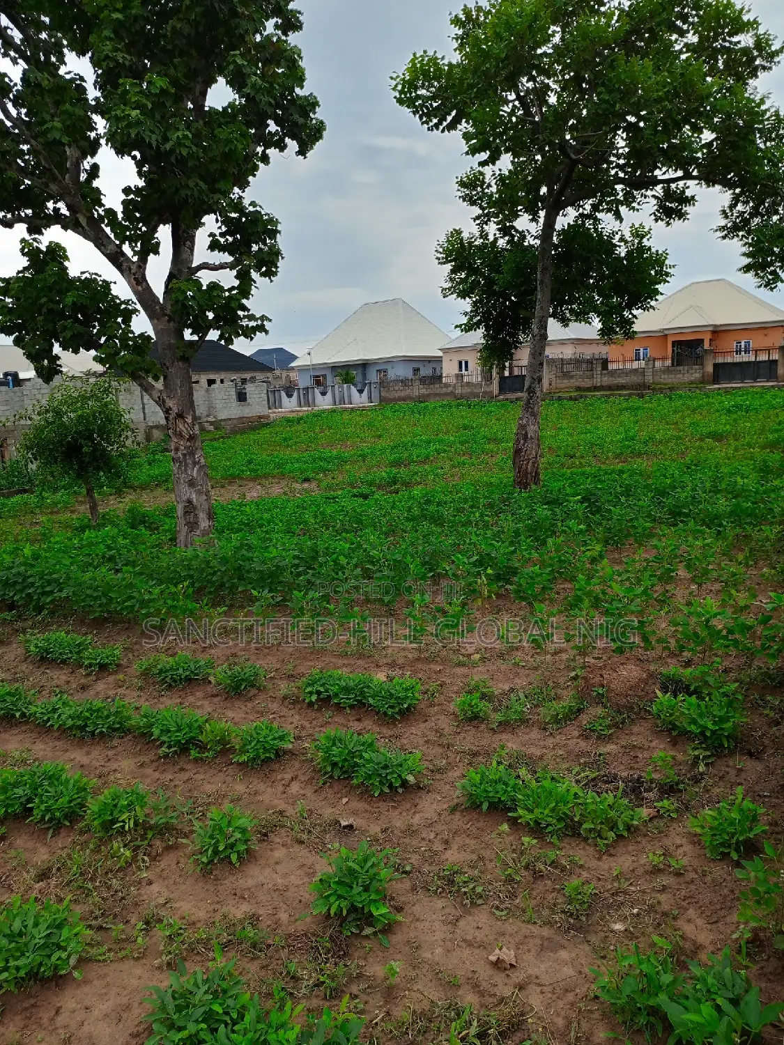 Mixed Used Land for Sale, 1000sqm in Karu