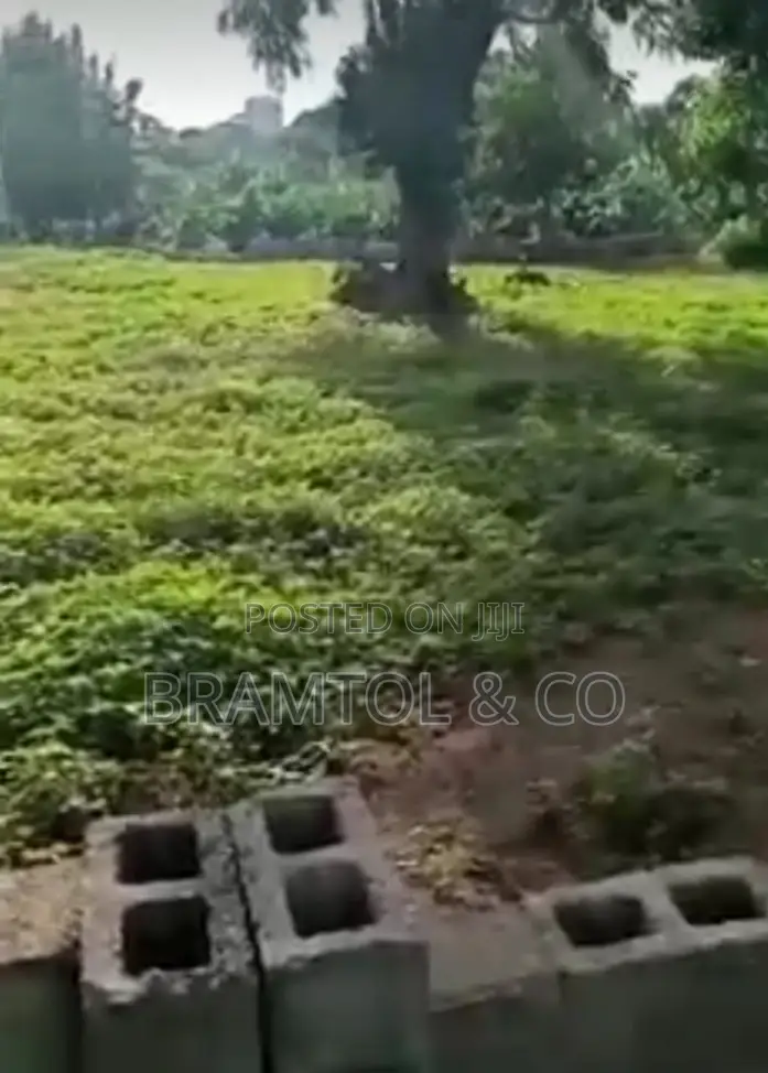 1300sqm Rofo Wuye Plot in Wuye