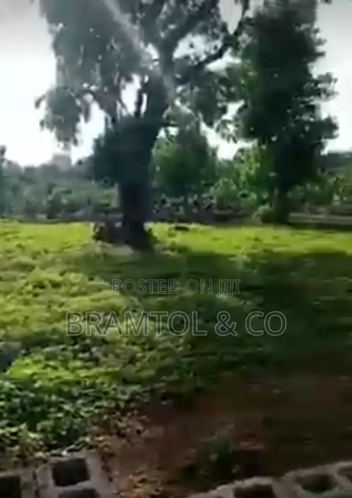 1300sqm Rofo Wuye Plot in Wuye
