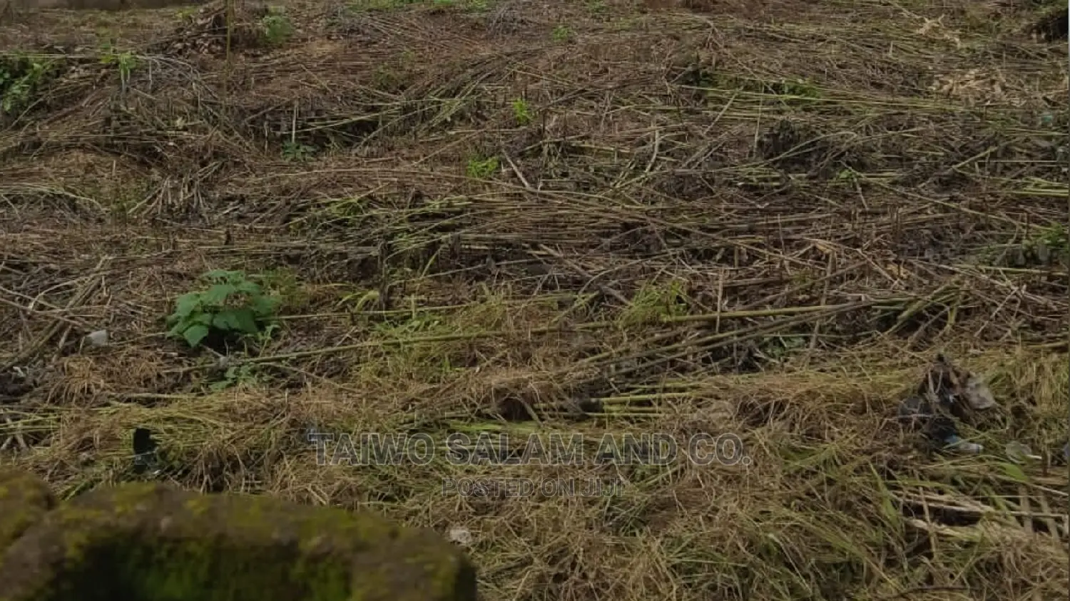1600sqm of Land at Joke Estate Forest Hill Estate Jericho Gra Ibadan in Jericho